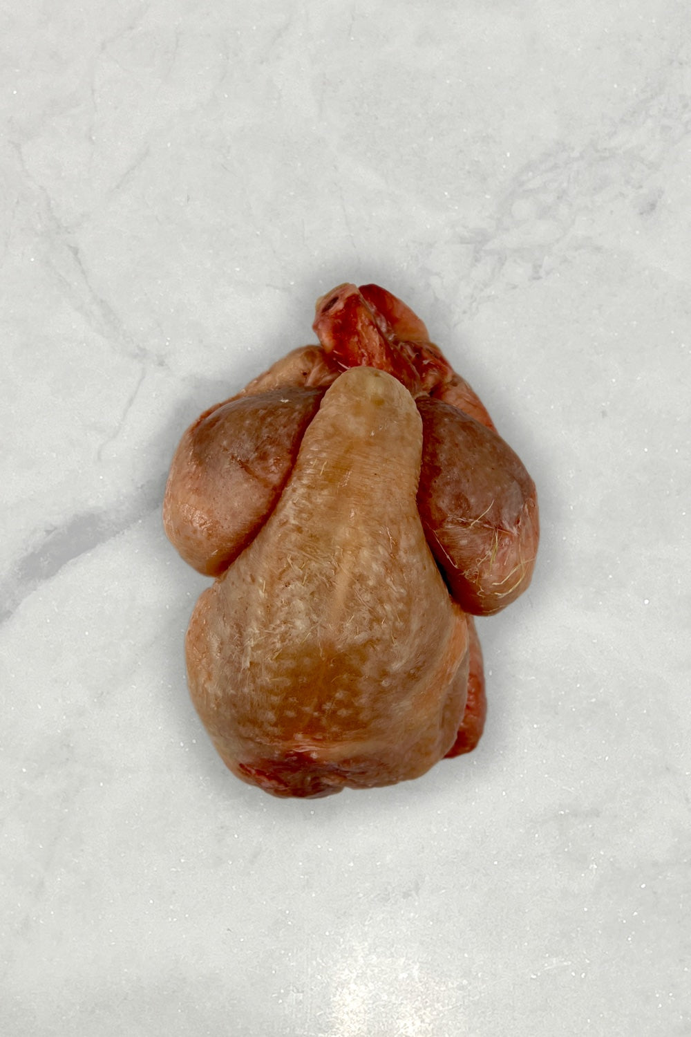 Petit Poussin (Piepkuiken)