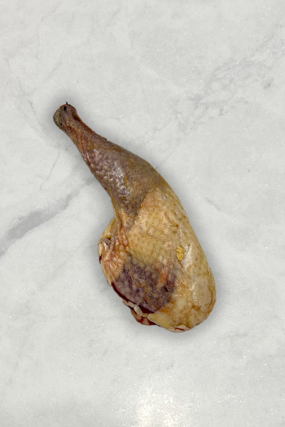 Pheasant leg